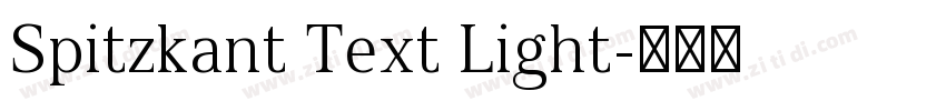 Spitzkant Text Light字体转换
